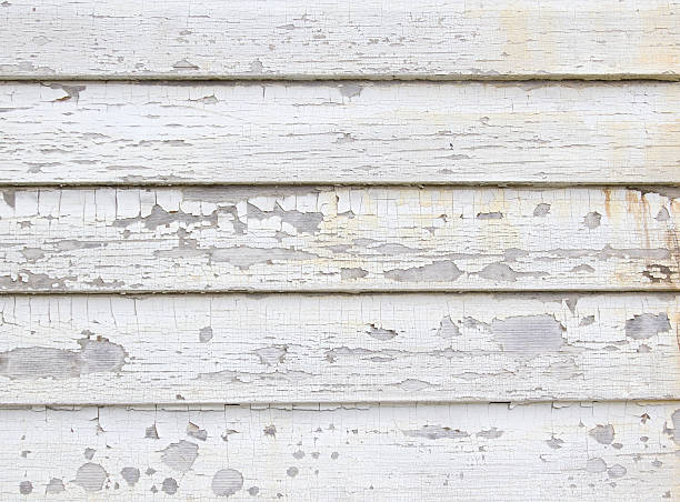 Best Dumpster Rental Services  in Schuyler, NE